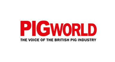 Pig World