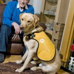 Ken and Kaspa from Life Changes Trust's Dementia Dog scheme