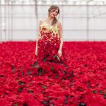 International Poinsettia Day - living poinsettia dress