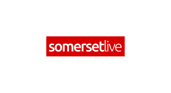 Image result for Somerset live logo