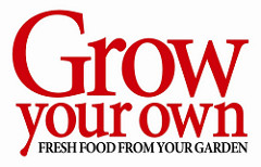 Grow your own magazine