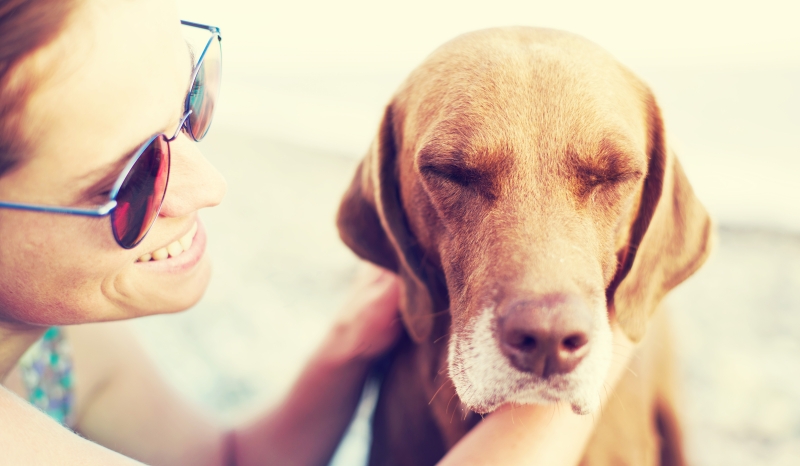 Sad dog and happy woman