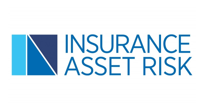 Insurance Asset Risk