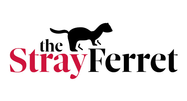 The Stray Ferret