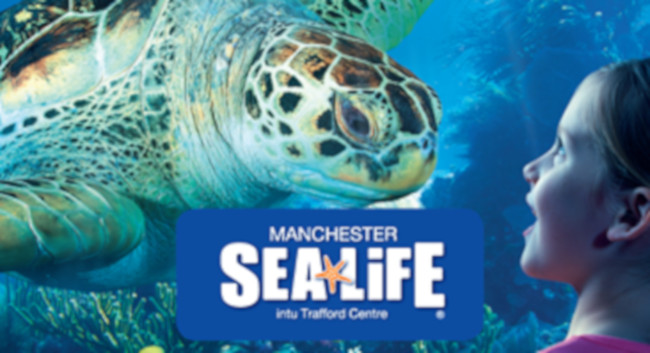 SEA LIFE Manchester