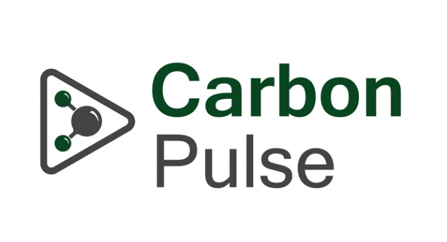 Carbon Pulse