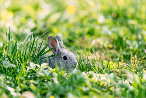 What to write about in March