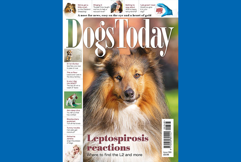 Dogs Today front cover